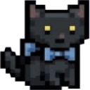 Putica the cat