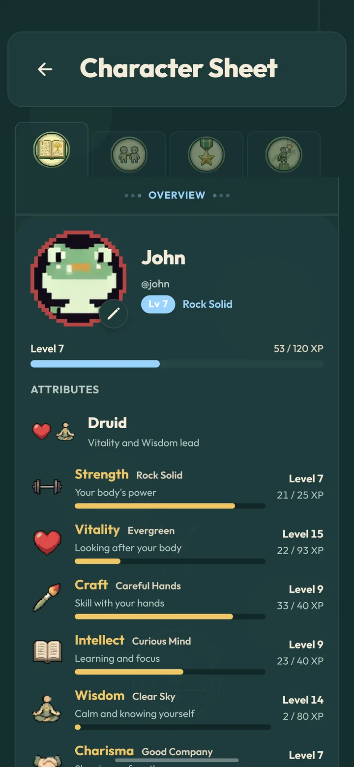 CheckMate character sheet with the Druid class and a level for each of the six attributes